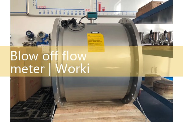 Blow flow meter